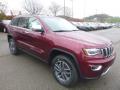 Front 3/4 View of 2019 Jeep Grand Cherokee Limited 4x4 #7 Front 3/4 View of 2019 Jeep Grand Cherokee Limited 4x4 #7