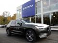 Front 3/4 View of 2019 Volvo XC60 T6 AWD Momentum #1