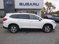 2019 Ascent Premium #3 2019 Ascent Premium #3
