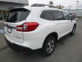 2019 Ascent Premium #4 2019 Ascent Premium #4
