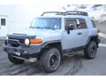 2013 FJ Cruiser 4WD #2