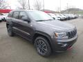 Front 3/4 View of 2019 Jeep Grand Cherokee Trailhawk 4x4 #7