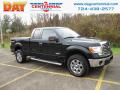 2012 F150 XLT SuperCab 4x4 #1 2012 F150 XLT SuperCab 4x4 #1
