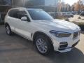 Front 3/4 View of 2019 BMW X5 xDrive40i #1