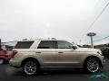 2018 Expedition Limited 4x4 #6