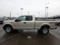  2018 Ford F150 White Gold #5