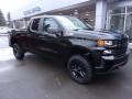 Front 3/4 View of 2019 Chevrolet Silverado 1500 Custom Z71 Trail Boss Double Cab 4WD #8