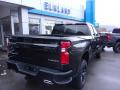 2019 Silverado 1500 Custom Z71 Trail Boss Double Cab 4WD #9