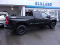 2019 Silverado 1500 Custom Z71 Trail Boss Double Cab 4WD #11