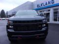 2019 Silverado 1500 Custom Z71 Trail Boss Double Cab 4WD #3