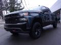 2019 Silverado 1500 Custom Z71 Trail Boss Double Cab 4WD #4