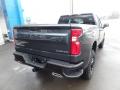 2019 Silverado 1500 Custom Z71 Trail Boss Double Cab 4WD #12