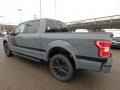 2019 Ford F150 Abyss Gray #4