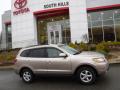 2007 Santa Fe GLS 4WD #2 2007 Santa Fe GLS 4WD #2