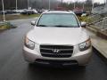 2007 Santa Fe GLS 4WD #4 2007 Santa Fe GLS 4WD #4