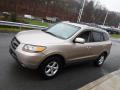 2007 Santa Fe GLS 4WD #5 2007 Santa Fe GLS 4WD #5