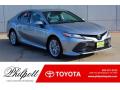 2019 Camry XLE #1