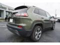 2019 Cherokee Limited #12