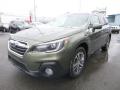 Front 3/4 View of 2019 Subaru Outback 3.6R Limited #8