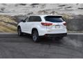 2019 Highlander SE AWD #3