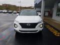 2019 Santa Fe Limited AWD #2 2019 Santa Fe Limited AWD #2