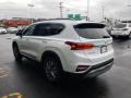 2019 Santa Fe Limited AWD #6 2019 Santa Fe Limited AWD #6
