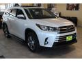 2019 Highlander Limited Platinum #2