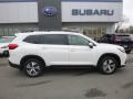 2019 Ascent Premium #3