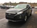 2019 Santa Fe SEL Plus AWD #3
