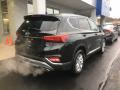 2019 Santa Fe SEL Plus AWD #7