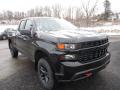 Front 3/4 View of 2019 Chevrolet Silverado 1500 Custom Z71 Trail Boss Double Cab 4WD #10