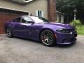  2016 Dodge Charger Plum Crazy Pearl #12