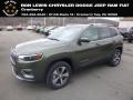 2019 Cherokee Limited 4x4 #1 2019 Cherokee Limited 4x4 #1