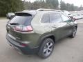 2019 Cherokee Limited 4x4 #5 2019 Cherokee Limited 4x4 #5