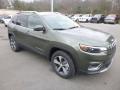 2019 Cherokee Limited 4x4 #7 2019 Cherokee Limited 4x4 #7