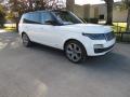 2019 Range Rover Supercharged #1