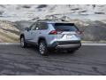 2019 RAV4 Limited AWD #3