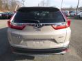 2019 CR-V Touring AWD #3 2019 CR-V Touring AWD #3
