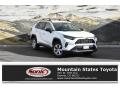 2019 RAV4 LE AWD #1
