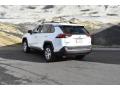 2019 RAV4 LE AWD #3