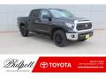 2019 Tundra SR5 CrewMax 4x4 #1