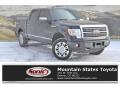 2012 F150 Platinum SuperCrew 4x4 #1