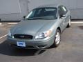 2007 Taurus SE #9