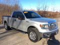 2014 F150 XLT SuperCab 4x4 #9