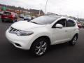 2011 Murano LE AWD #6