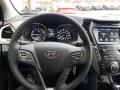  2019 Hyundai Santa Fe XL SE AWD Steering Wheel #18