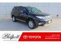 2013 Highlander SE #2