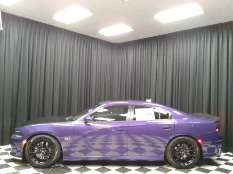 Plum Crazy Pearl Dodge Charger R/T Scat Pack. Click to enlarge. Plum Crazy Pearl Dodge Charger R/T Scat Pack. Click to enlarge.
