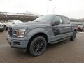  2019 Ford F150 Abyss Gray #6