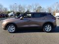  2019 Chevrolet Blazer Sunlit Bronze Metallic #3